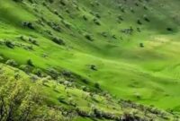 شهرستان خانمیرزا