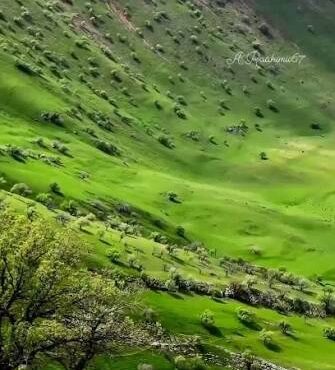 شهرستان خانمیرزا